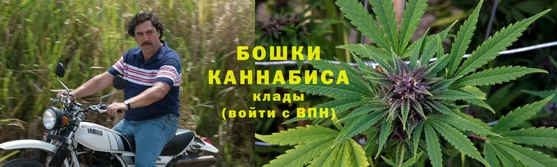 МАРИХУАНА Ganja  Козельск 